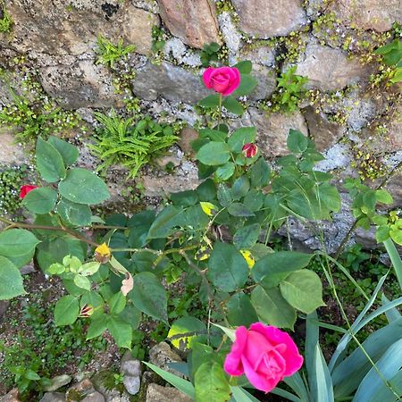 Ferme Fleurie Bed & Breakfast Bergesserin Exterior foto