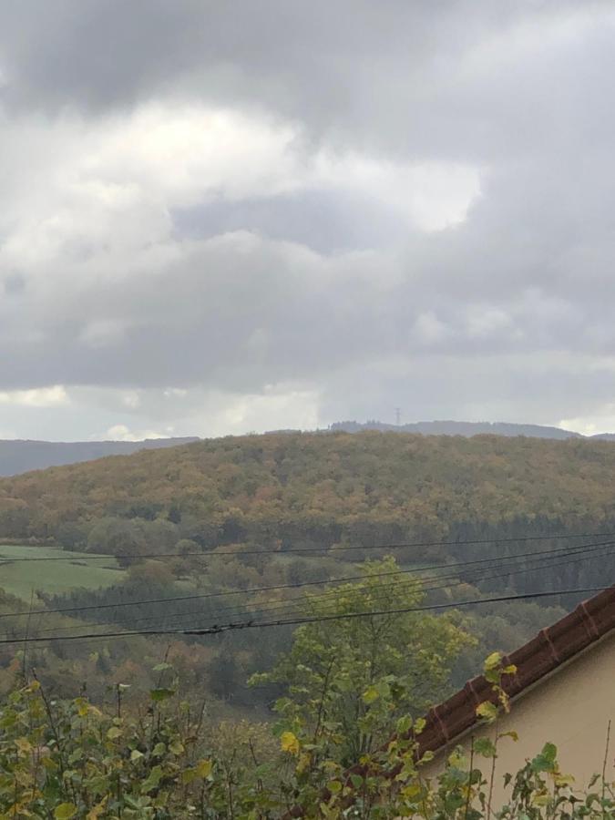 Ferme Fleurie Bed & Breakfast Bergesserin Exterior foto