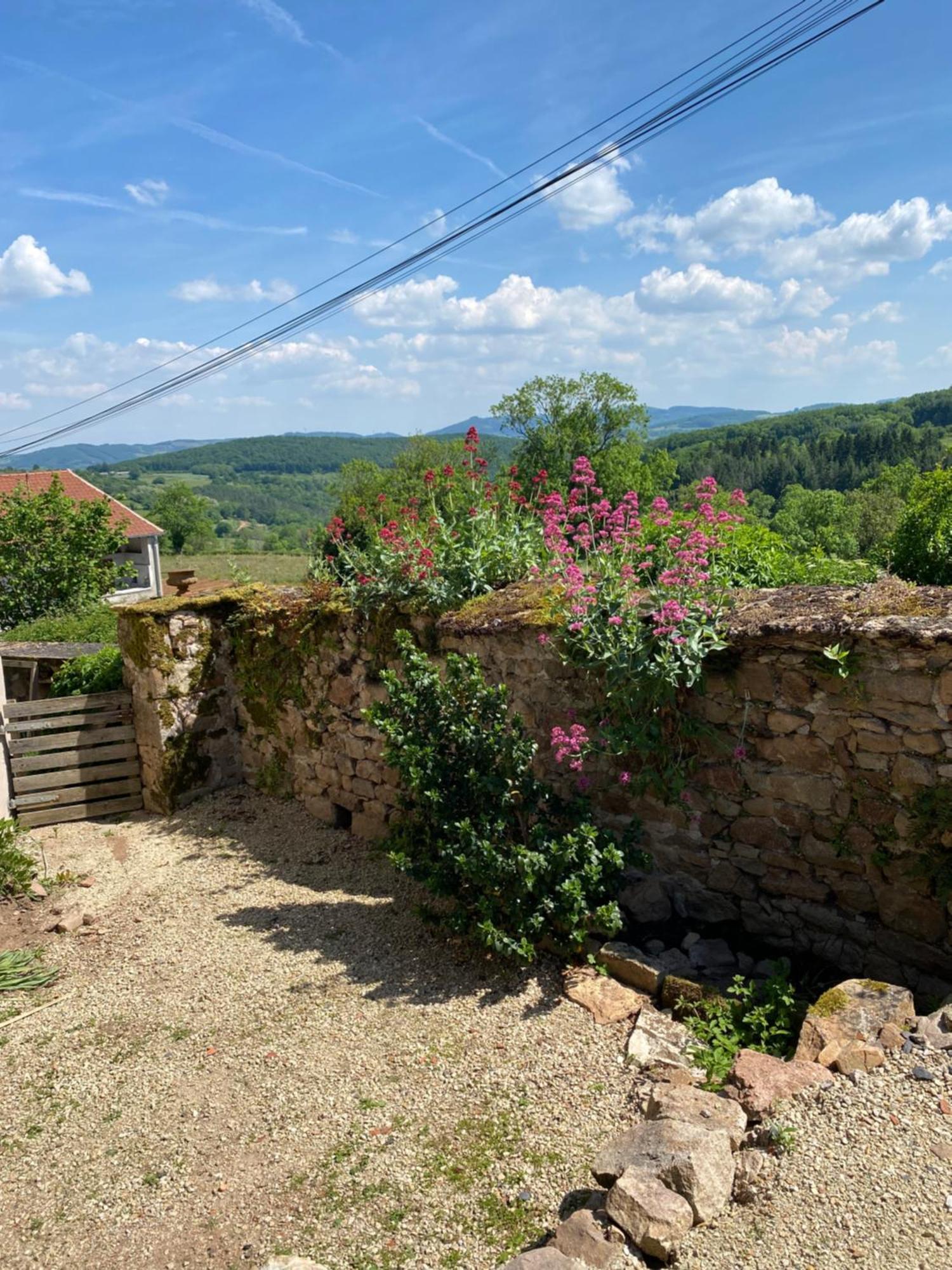 Ferme Fleurie Bed & Breakfast Bergesserin Exterior foto