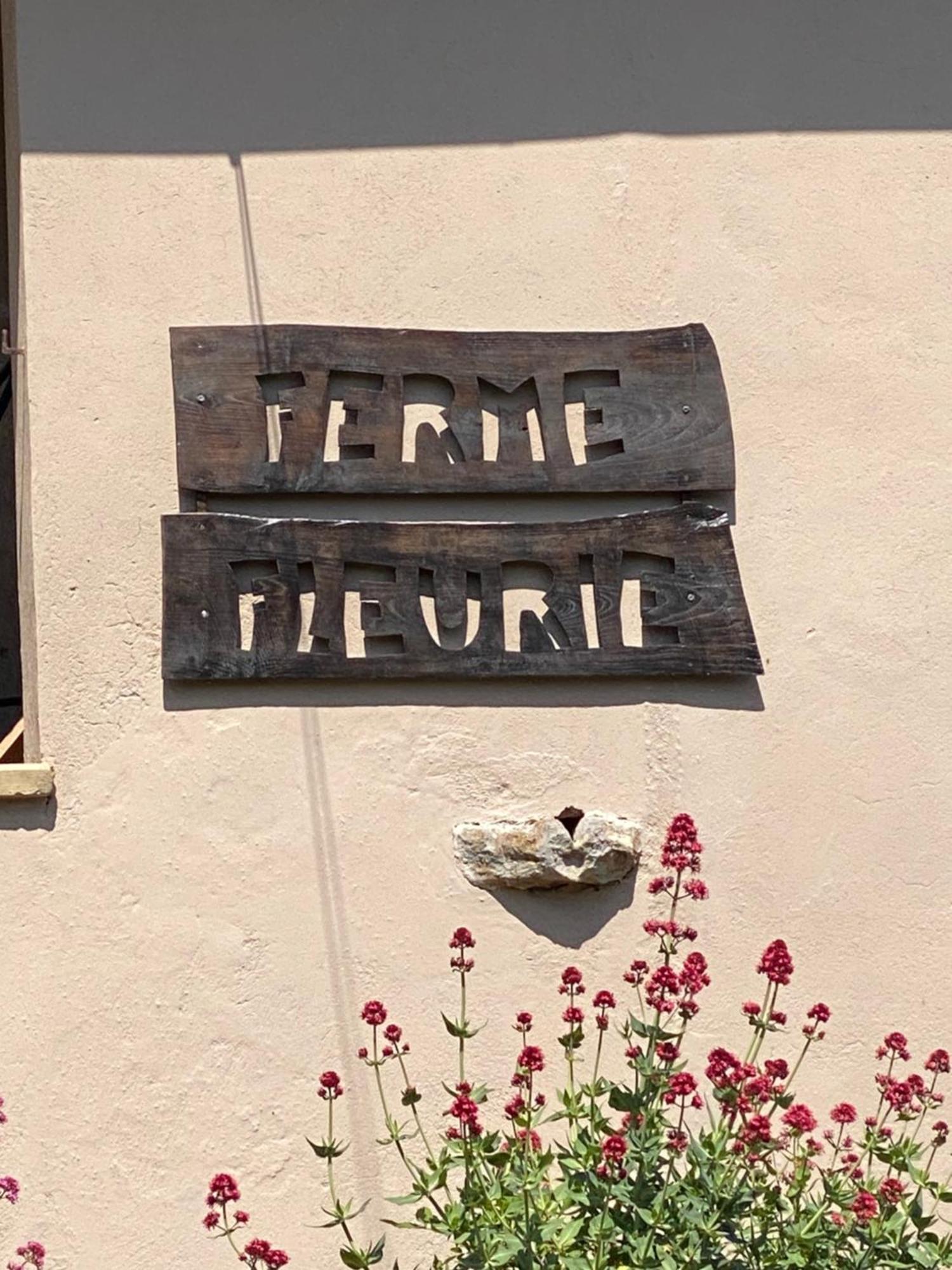Ferme Fleurie Bed & Breakfast Bergesserin Exterior foto
