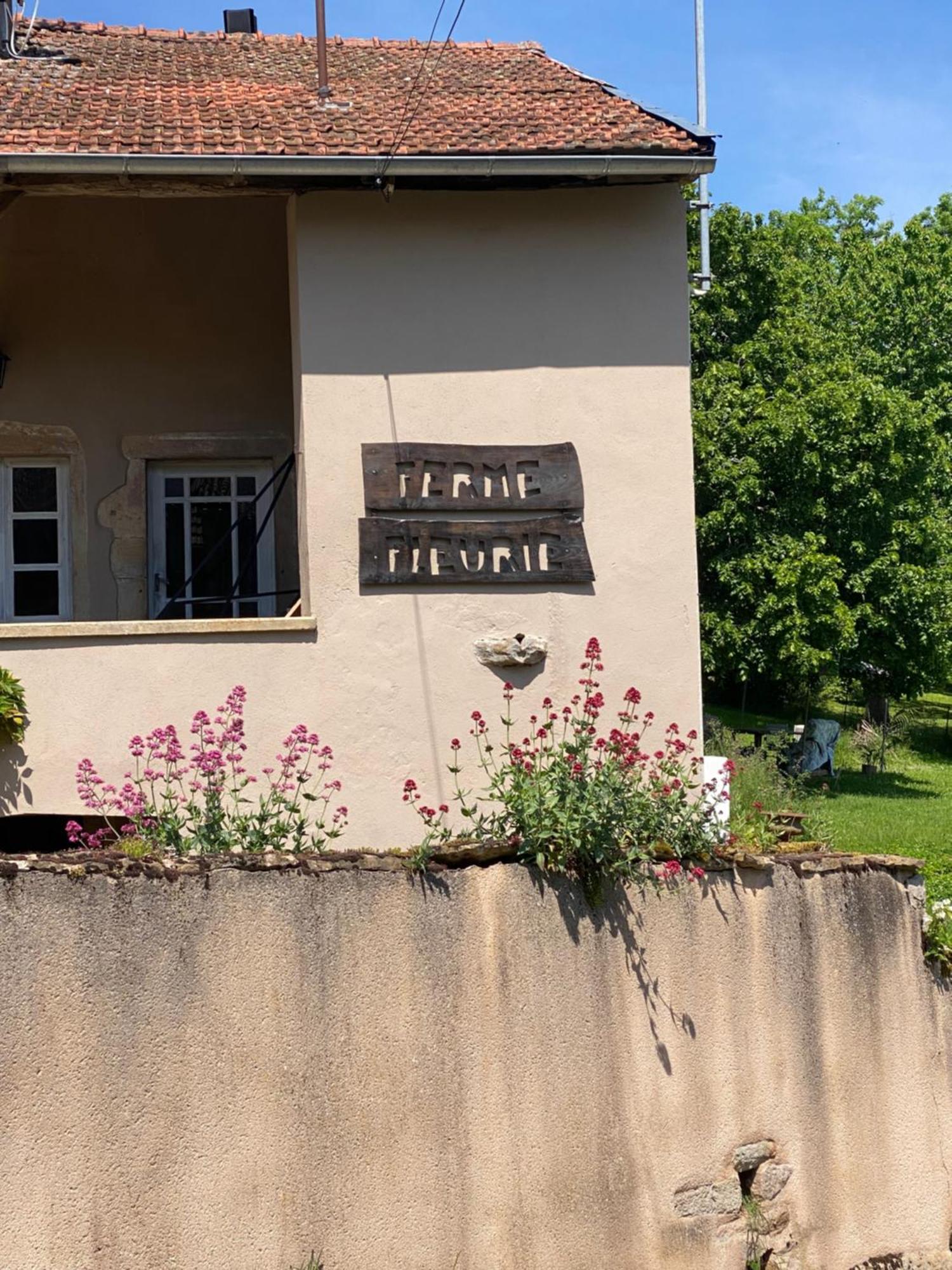 Ferme Fleurie Bed & Breakfast Bergesserin Exterior foto