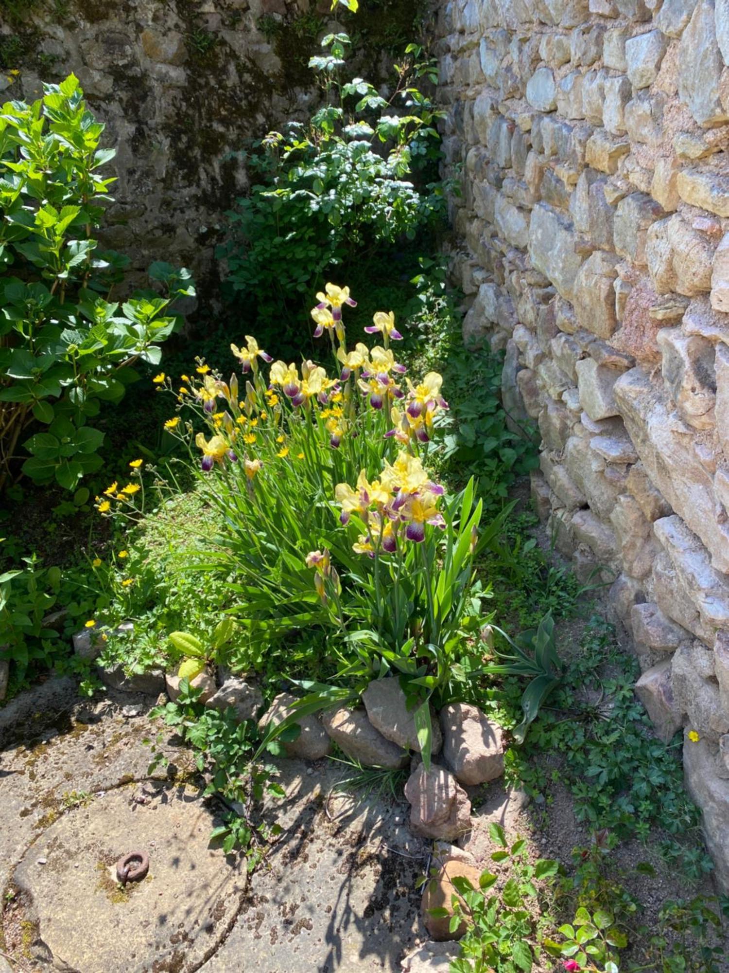 Ferme Fleurie Bed & Breakfast Bergesserin Exterior foto
